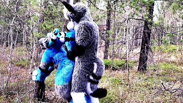 Horny Furries Fuck In The Wild