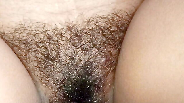 Desi Hairy, Tamil Hairy, Tight Lovers Telugu