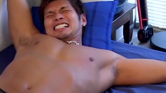 Spectacle Asiatique Gay