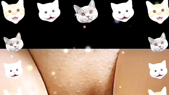 Pussy screen saver