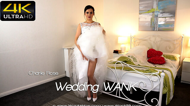 Charlie Rose - Wedding WANK - Sexy Videos - WankitNow