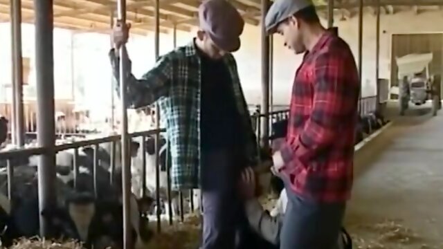 Excellent Porn Video Homosexual Vintage Hottest Ever Seen