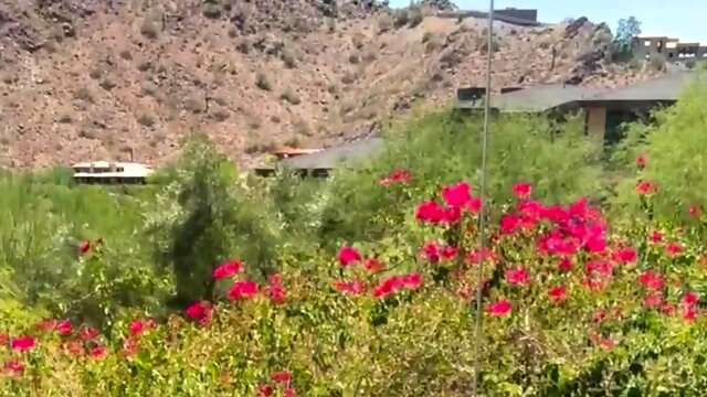 Вебкамера Втроем Дрочит