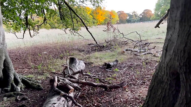 Gay Wanking In Woods