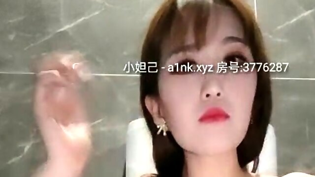 Chatte Poilu Asiatique Solo