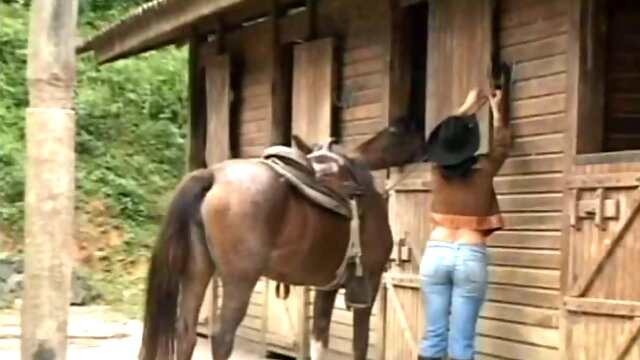 Brunette cowgirl Alison is eager for wild sex in the barn