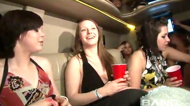 Limo Party