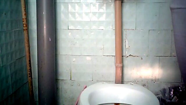 Chunky white mature lady in the public toiletroom on hidden cam video