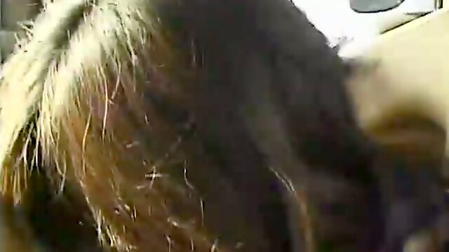 Missionary style sex in the car with a skinny Japanese bitch