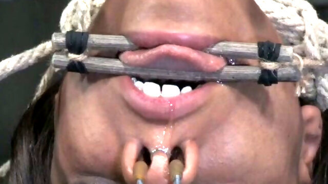 Hardy ebony is suspended upside down with weights on her boobs and nose