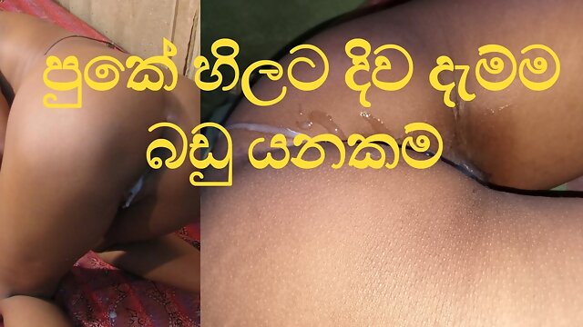 Eating Anal Sinhala Pleasure from the tongue -ass licking