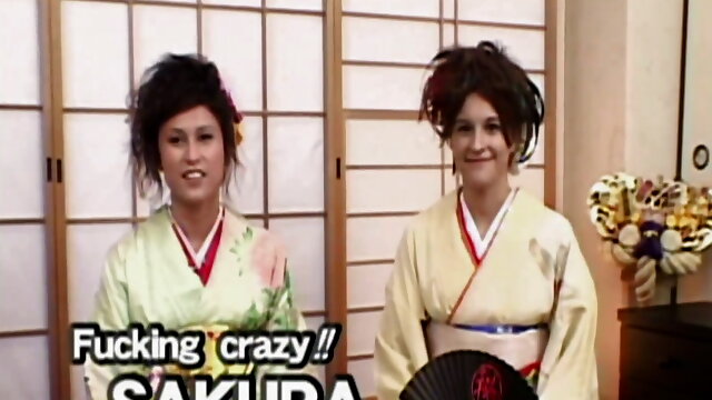 Samurai fucks young geisha in her butthole