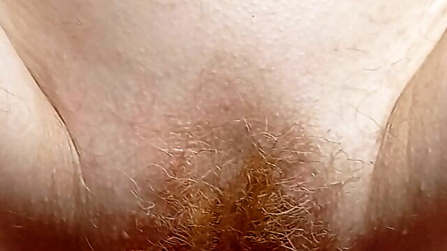 Hairy Redhead Fuck, French Hairy, Pussy