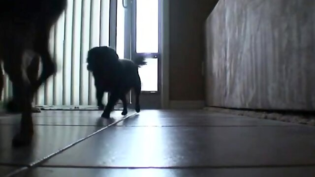 Carolyn Reese masturbates