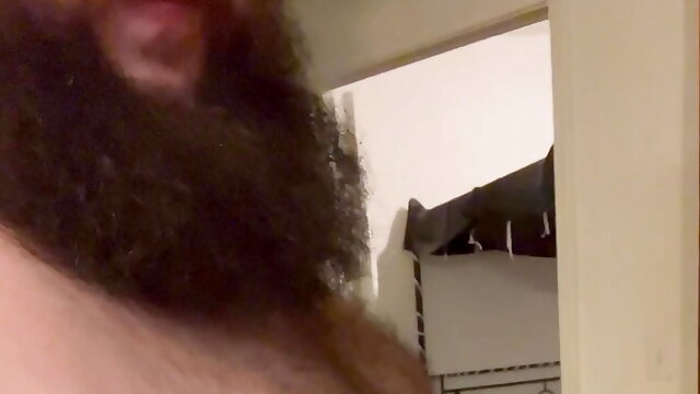 LavenderBear having Gainer Fun