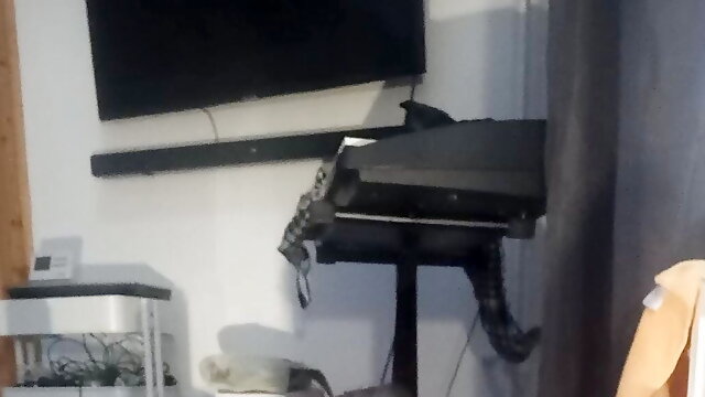 Basseball bat in ass