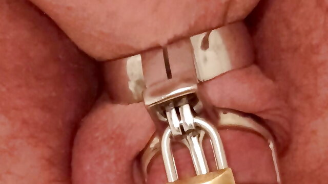 No play only weighing and cagecheck of 27.01.2023