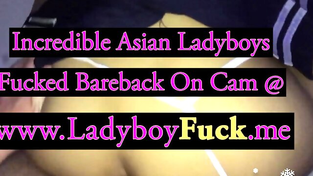 Ladyboy Client