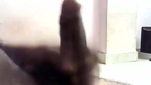 Beautiful Indian Telugu Cock