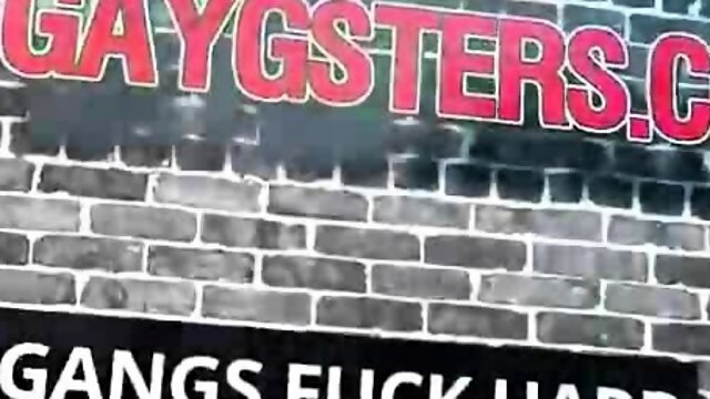 Tag Teaming The Trailer Trash