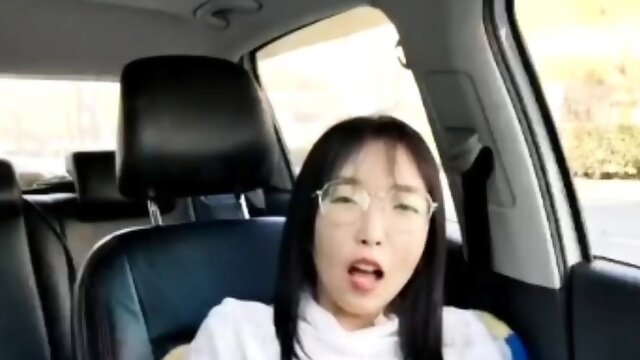 Cute Chinese mastubating in her car part 03