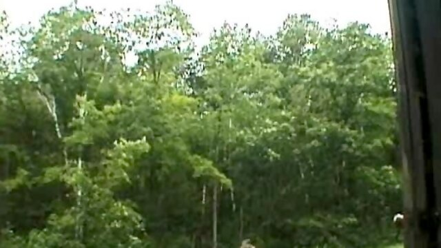 Hot outdoor games of two gay twinks