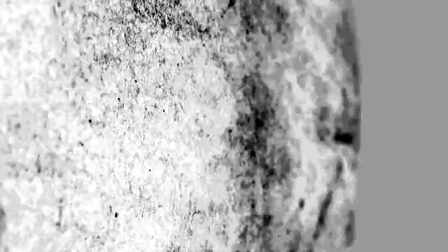 Hung Married Verbal White Breeds Black