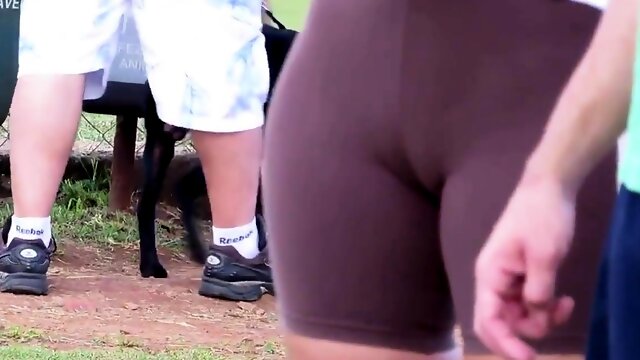 SDRUWS2 - TWO BIG CAMELTOES IN PUBLIC PARK