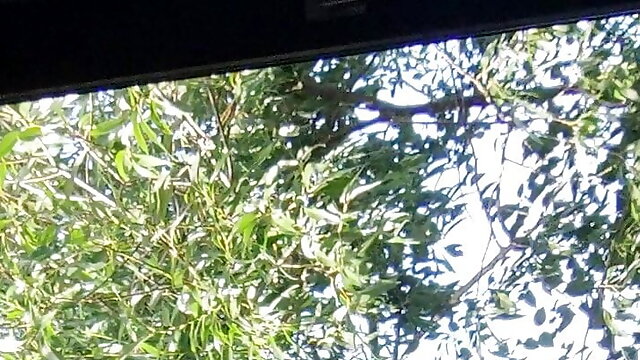 Superfett is masturbating in the brak