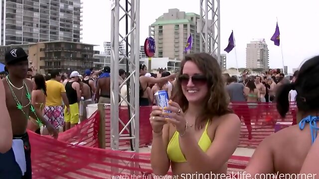 Texas Beach Soiree - PornGem