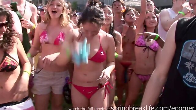 Bikni Beach Bash - PornGem