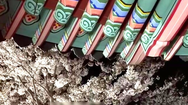 Japanilainen Vaimo, Korealainen, Aasialainen, Lelut