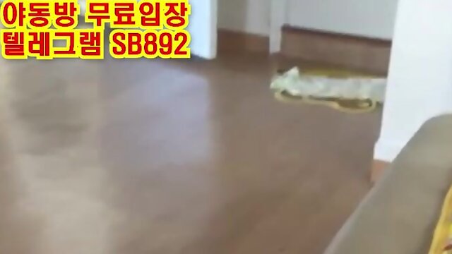 도그플 도그트레이닝 보지에 딜도꽂고 양말 물어오기 ㅋㅋ 풀버전 텔레그램 SB892 온리팬스 트위터 한국 성인방 야동방 빨간방 Korea