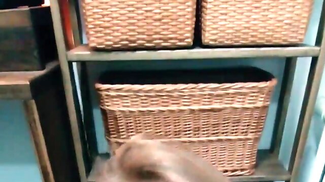 I HAVE a MAN-MEAT S01e01 are you Nuzzling my undies?