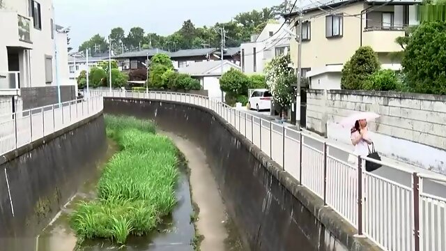 Lockande japansk dam