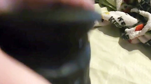 Bbw Bbc Dildo