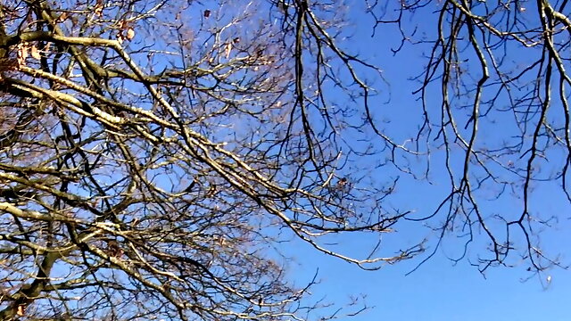 Young Man gets horny while hiking 