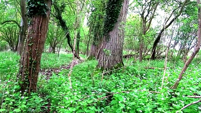 Outdoors Worn Out Y Fronts Hiking Walk To