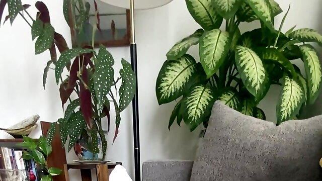 Thick uncut cock shooting a huge load