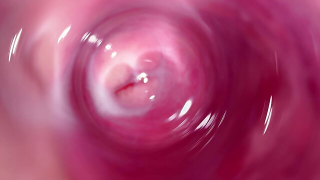 Inside Pussy View, Camera Inside Vagina