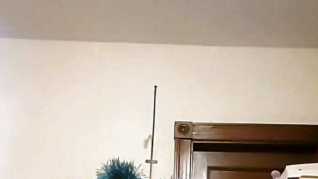 Lovense fuck toy