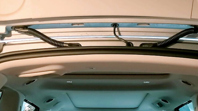 Daddy In The Minivan