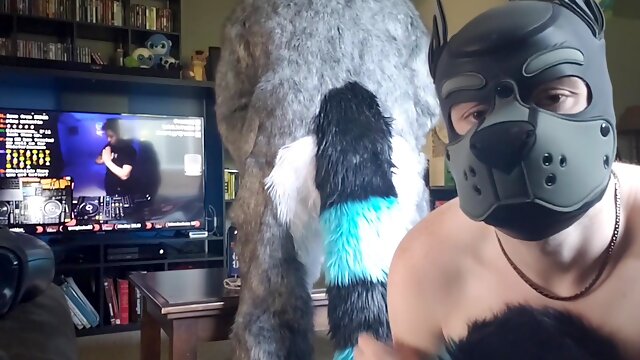 Moto Knotting The Pup