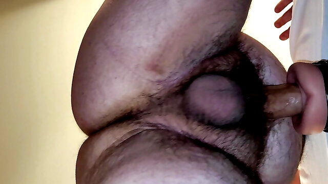 Gay Bears Fucking Cub