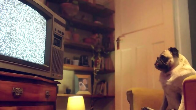 Liz Rainbow gags on a cock