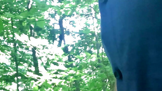Walk in the woods 