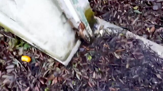 I like to suck the big black cock