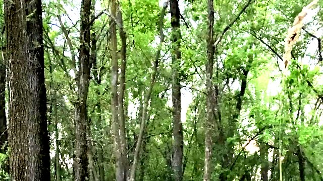 Shalina outdoor anal toying solo