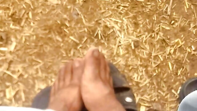 XXX XXX XML sncj dkgj dkgj dkgj 