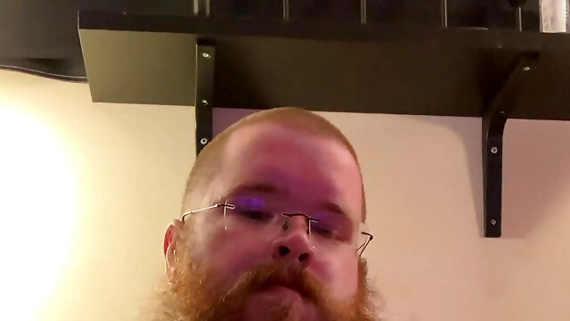 Bear Pov Gay